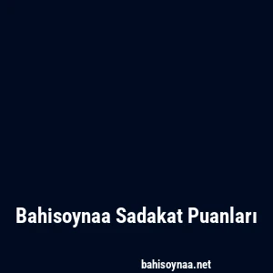 Bahisoynaa Sadakat Puanları